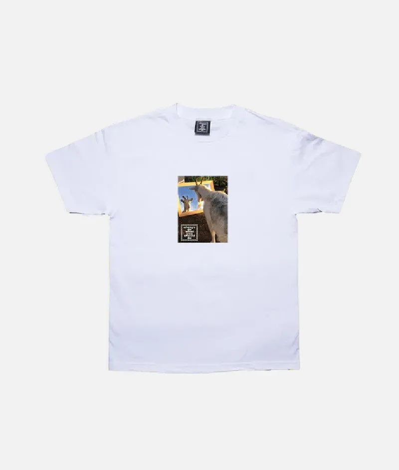 ADWYSD BELIEVE T SHIRT WHITE