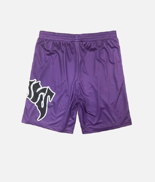 Adwysd Mayhem Court Purple Shorts