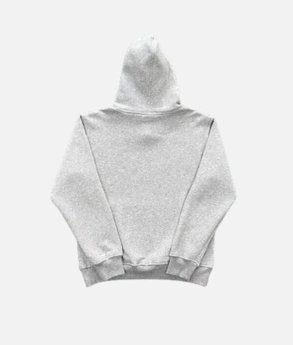 ADWYSD ALWAYS GREY HOODIE